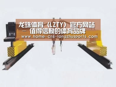 产品名称十七