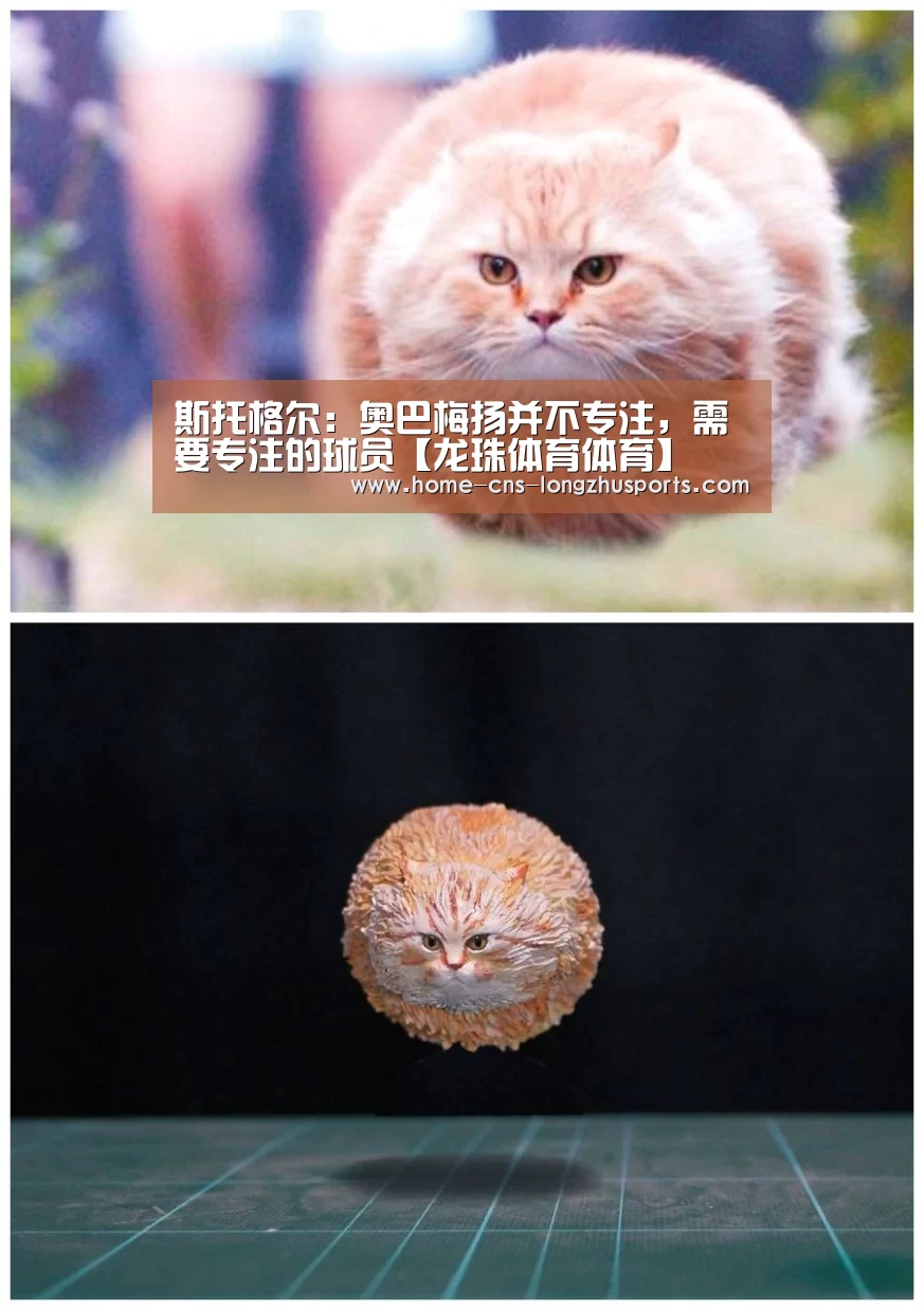 斯托格尔:奥巴梅扬并不专注,需要专注的球员【龙珠体育体育】(图1) 龙珠体育
