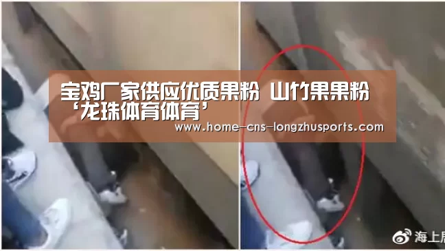 宝鸡厂家供应优质果粉 山竹果果粉‘龙珠体育体育’(图2) 龙珠体育体育
