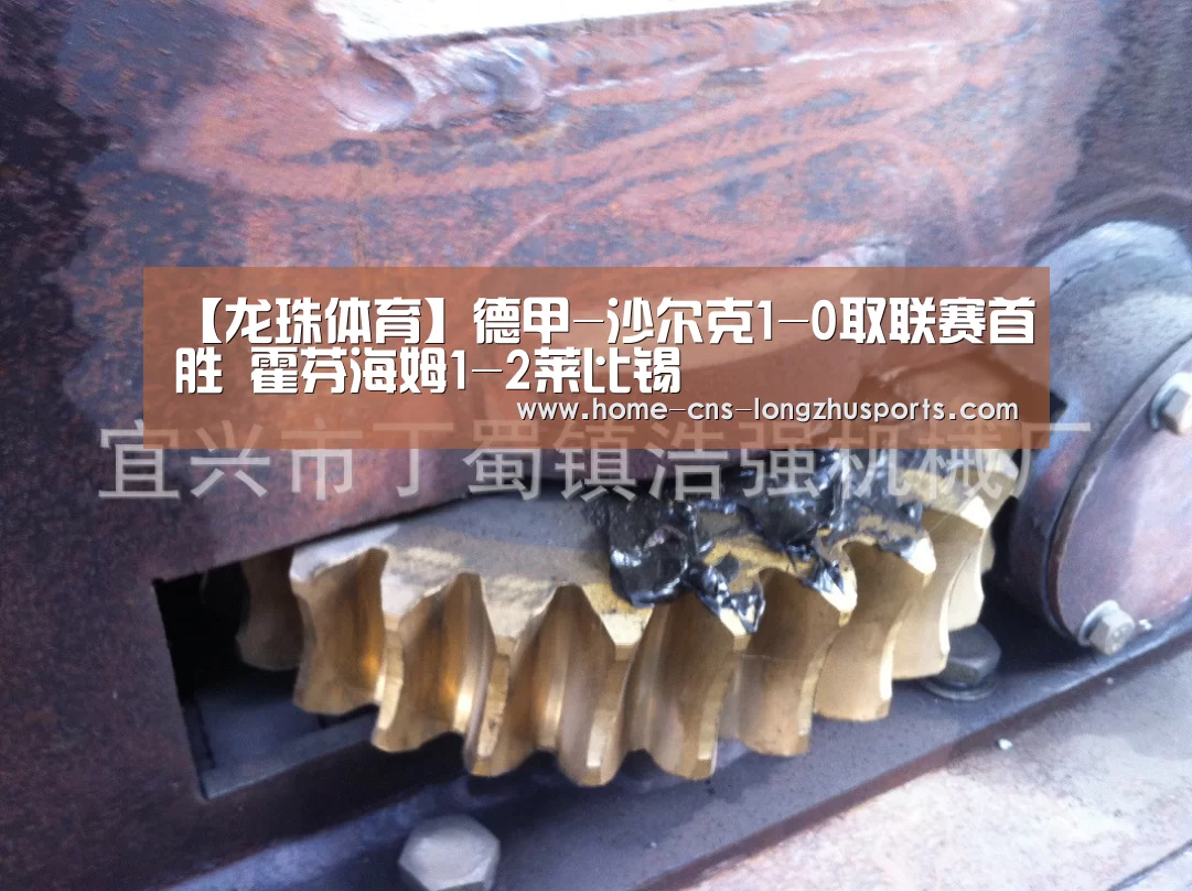 【龙珠体育】德甲-沙尔克1-0取联赛首胜 霍芬海姆1-2莱比锡(图1) 龙珠体育体育