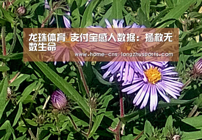 龙珠体育_支付宝感人数据:拯救无数生命(图1) 龙珠体育体育