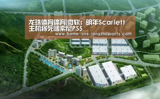 龙珠体育体育
