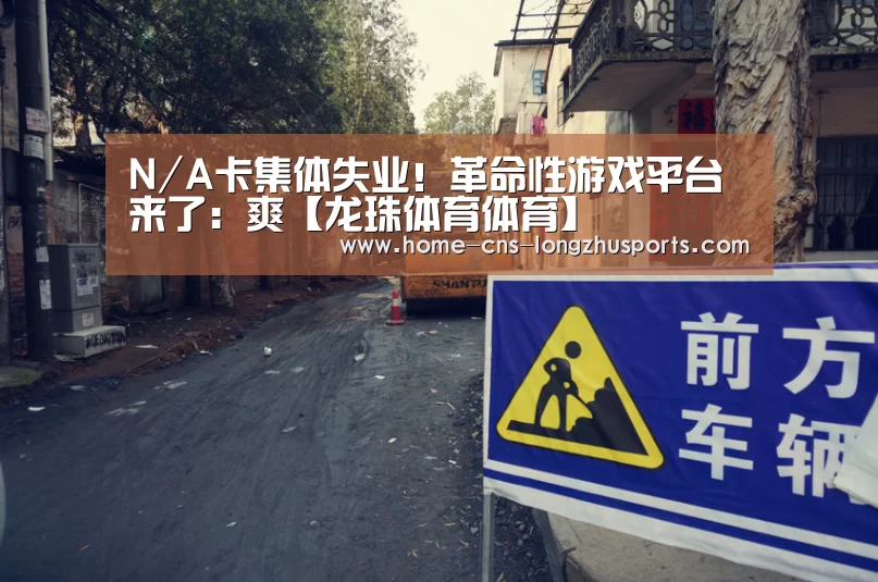 龙珠体育体育