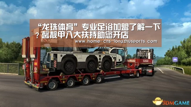 龙珠体育