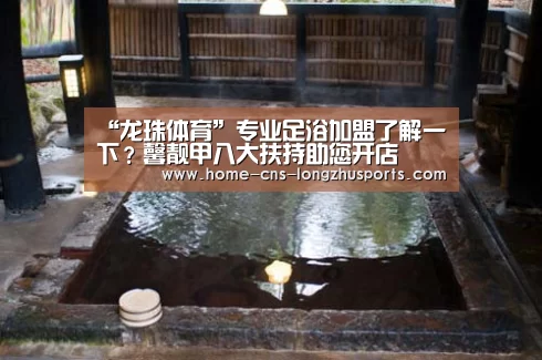 龙珠体育体育