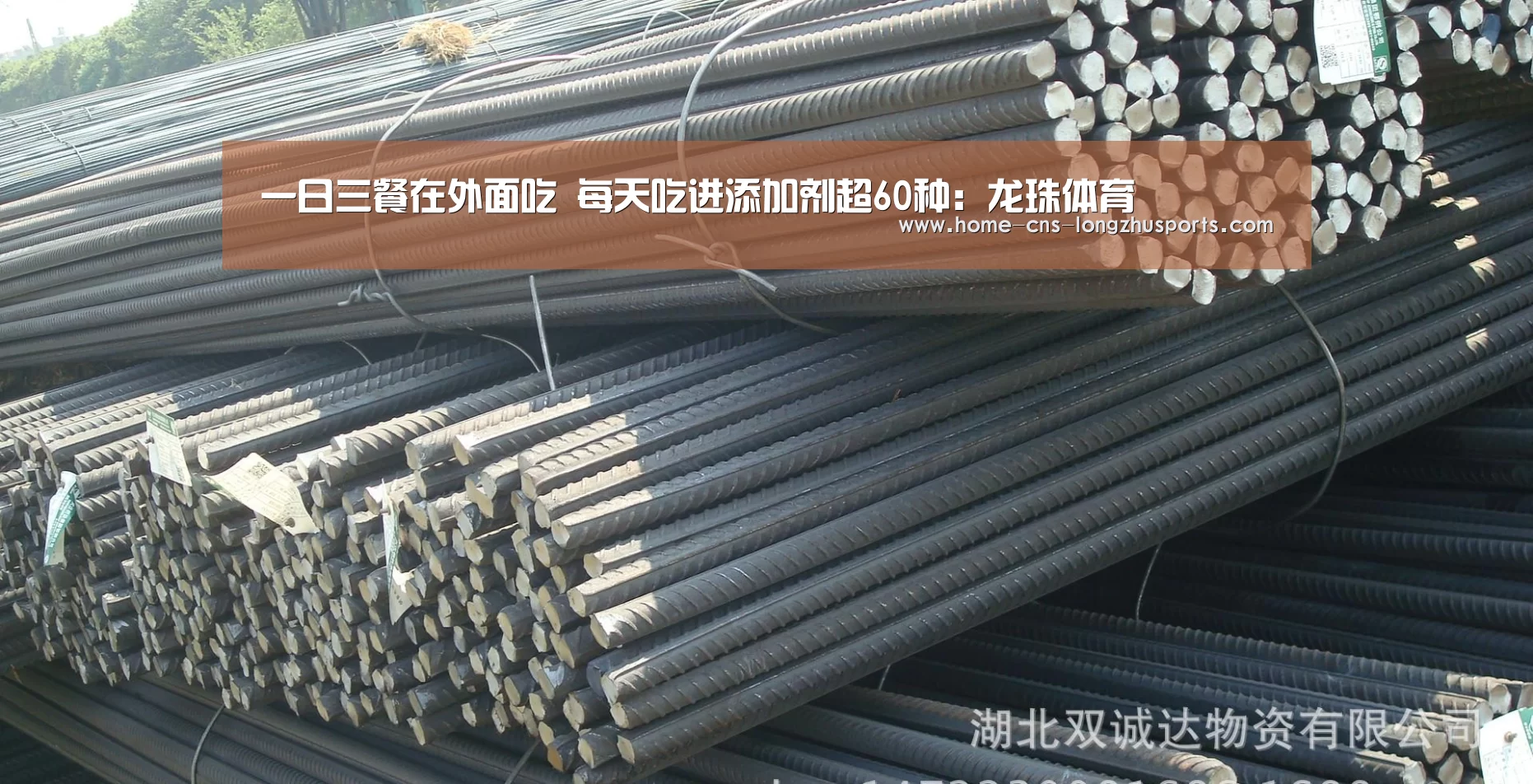 龙珠体育