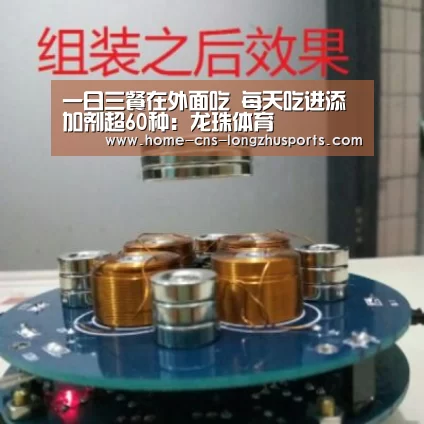 龙珠体育