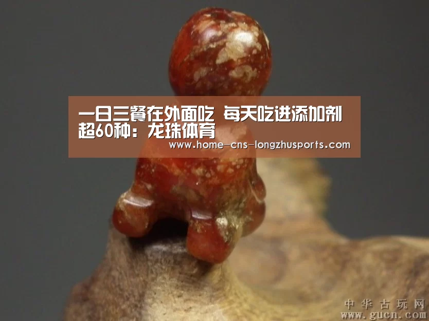 龙珠体育体育