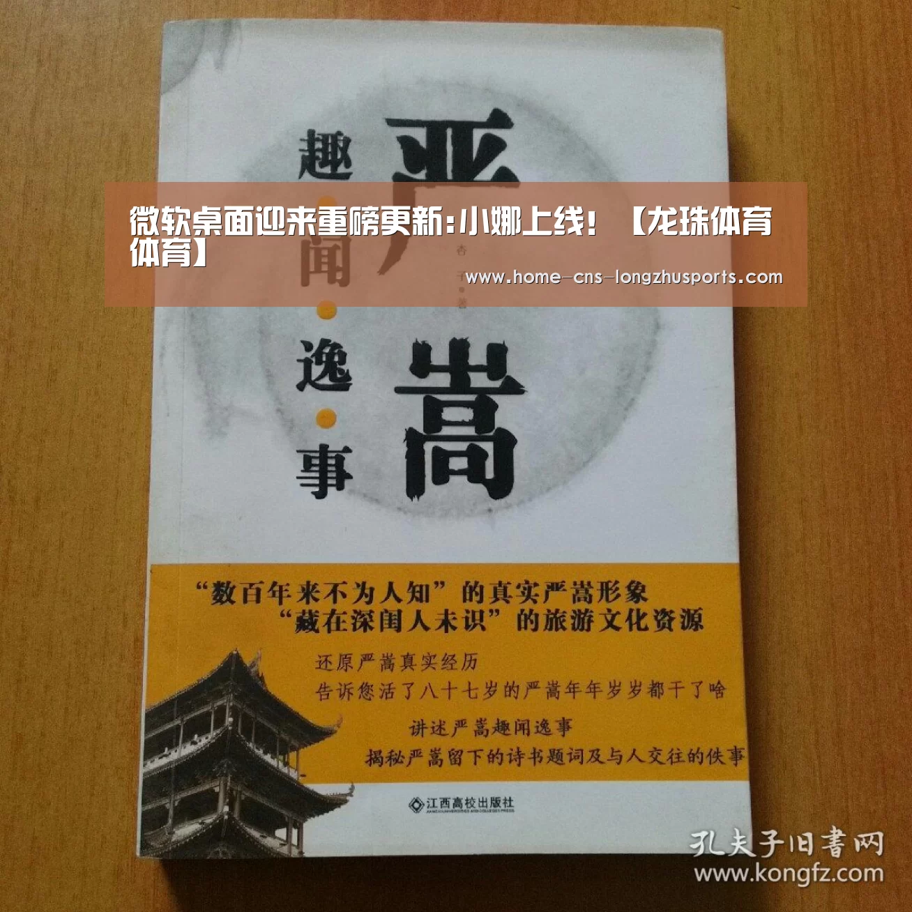 龙珠体育体育