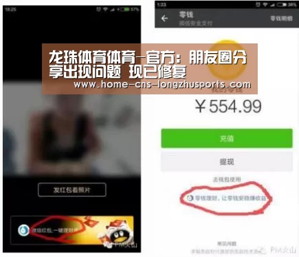 龙珠体育体育