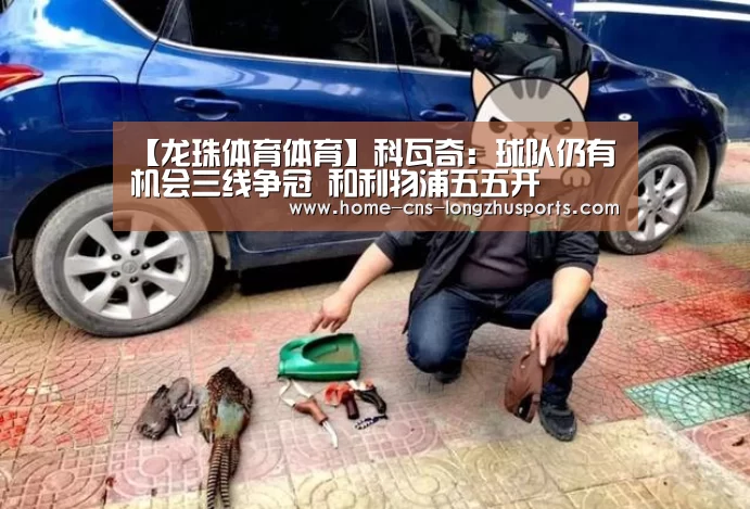 龙珠体育体育