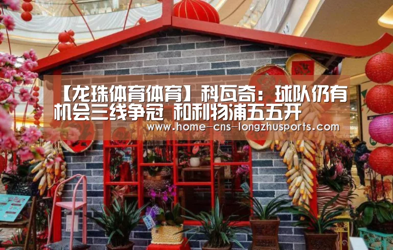 龙珠体育体育