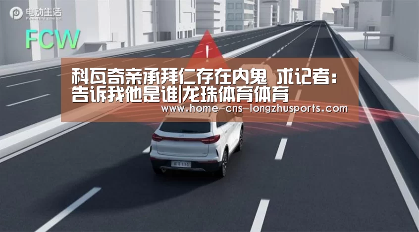 龙珠体育体育