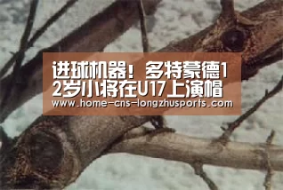 进球机器!多特蒙德12岁小将在U17上演帽子戏法|龙珠体育体育(图3) 龙珠体育体育
