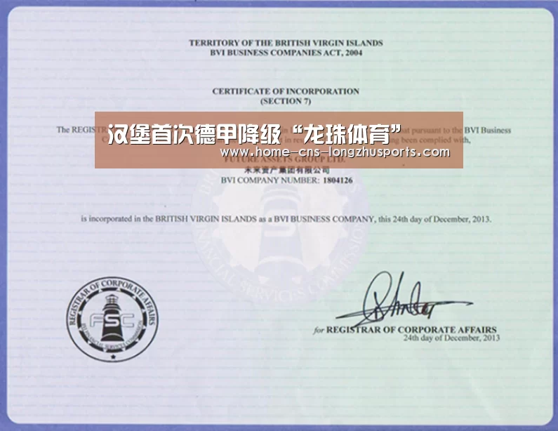 汉堡首次德甲降级“龙珠体育”(图1) 龙珠体育体育