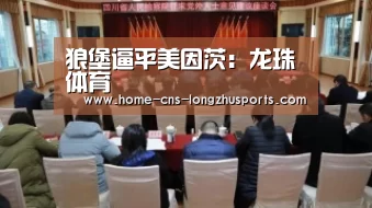 狼堡逼平美因茨:龙珠体育(图1) 龙珠体育体育
