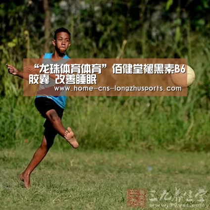 龙珠体育体育